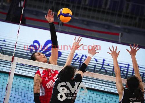 2020中国女排全明星赛(2020全国女排锦标赛) 2020中国女排全明星赛(2020全国女排锦标赛)