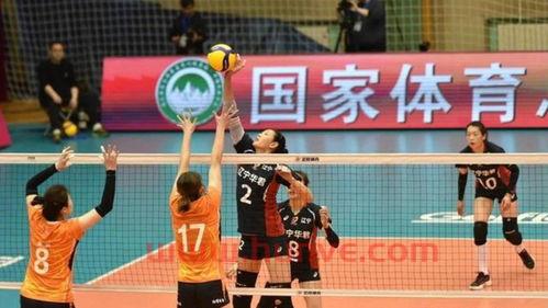 中国女排全明星赛直播视频（中国女排全运会比赛时间表）