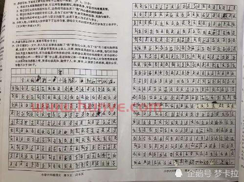 乒乓球赛程怎么写作文（乒乓球比赛范文 小学生作文）