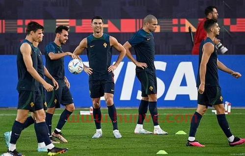 如何融入葡萄牙国家队(加入葡萄牙国籍) 如何融入葡萄牙国家队(加入葡萄牙国籍)