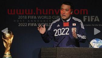 2022年在哪个国家举办世界杯赛