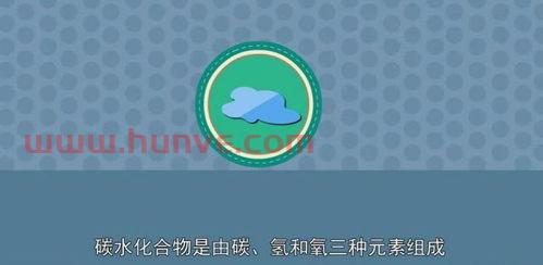 2021年欧洲杯战绩排行榜