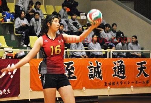 中国女排日本籍主教练是谁（中国女排日本籍主教练是谁啊）