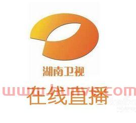 湖南卫视现场直播