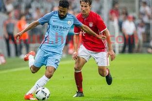 曼城的荷兰球员名单表(曼城球员合照)