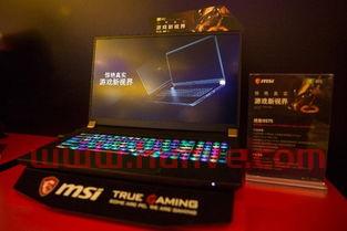 2019msi