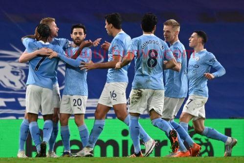 曼城2013球员名单(曼城13年阵容)